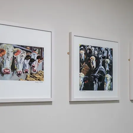 Coachmans Townhouse קנמארה